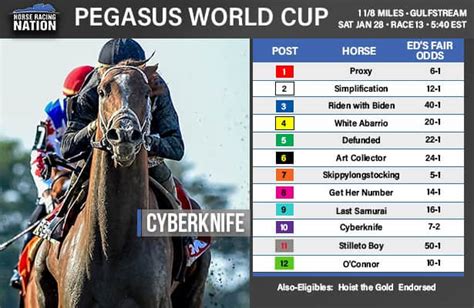 pegasus world cup betting tips|Pegasus World Cup 2024 Contenders .
